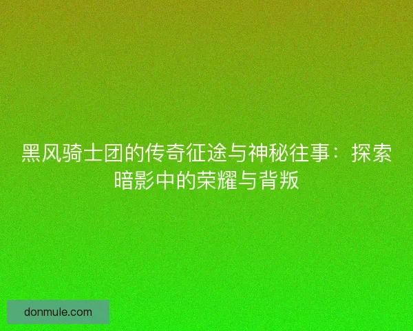 黑风骑士团的传奇征途与神秘往事：探索暗影中的荣耀与背叛
