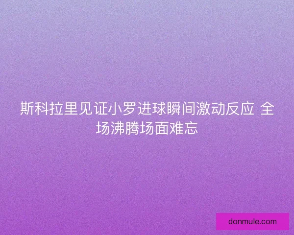 斯科拉里见证小罗进球瞬间激动反应 全场沸腾场面难忘