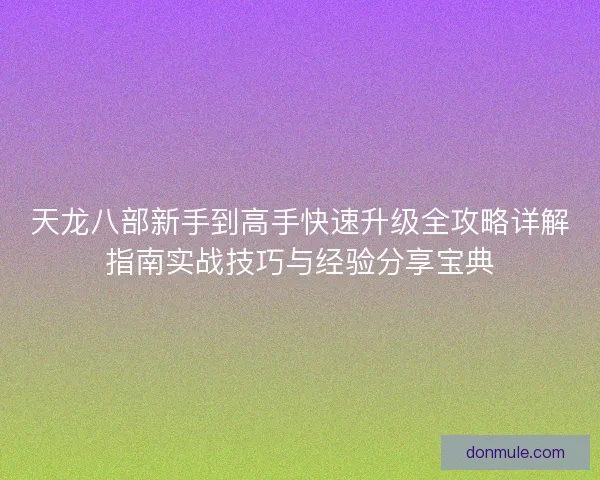 天龙八部新手到高手快速升级全攻略详解指南实战技巧与经验分享宝典