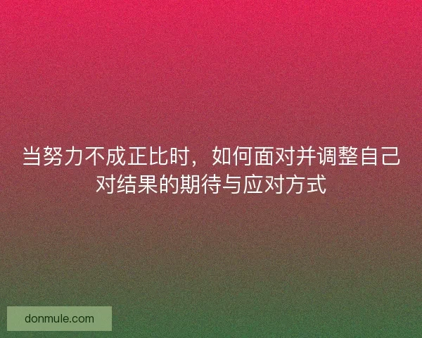 当努力不成正比时，如何面对并调整自己对结果的期待与应对方式