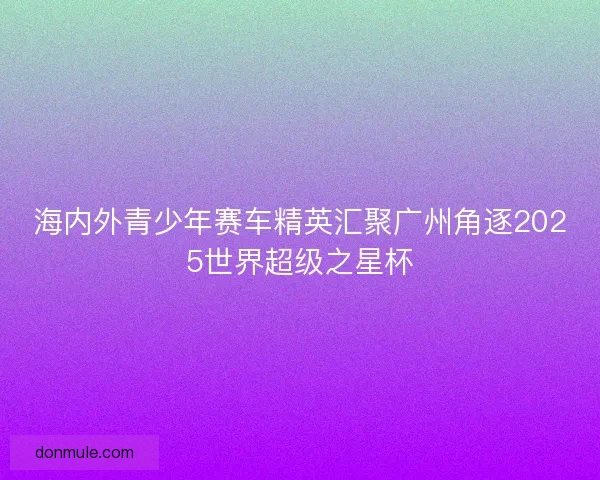 海内外青少年赛车精英汇聚广州角逐2025世界超级之星杯