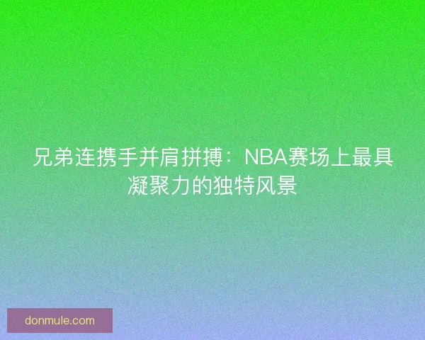 兄弟连携手并肩拼搏：NBA赛场上最具凝聚力的独特风景