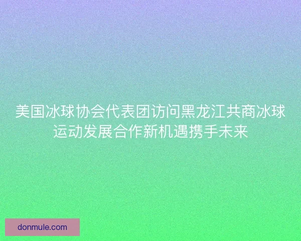 美国冰球协会代表团访问黑龙江共商冰球运动发展合作新机遇携手未来