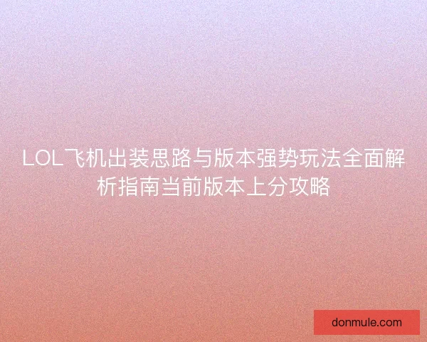 LOL飞机出装思路与版本强势玩法全面解析指南当前版本上分攻略