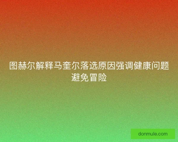 图赫尔解释马奎尔落选原因强调健康问题避免冒险 图赫尔解释马奎尔落选原因强调健康问题避免冒险